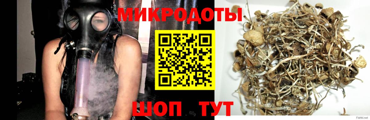 Рославль  Псилоцибиновые грибы Psilocybe  Псилоцибиновые грибы Psilocybe  наркотики  Вход с VPN 