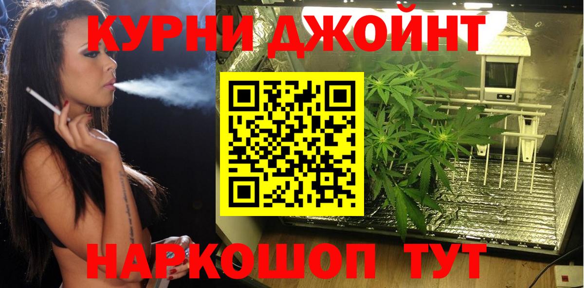 Канабис MAZAR Рославль
